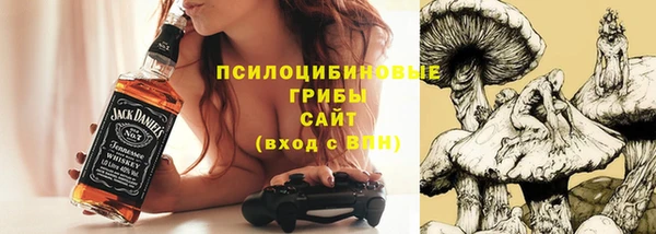 mdpv Белокуриха