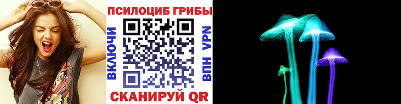 Галлюциногенные грибы прущие грибы  гидра как зайти  Пестово 